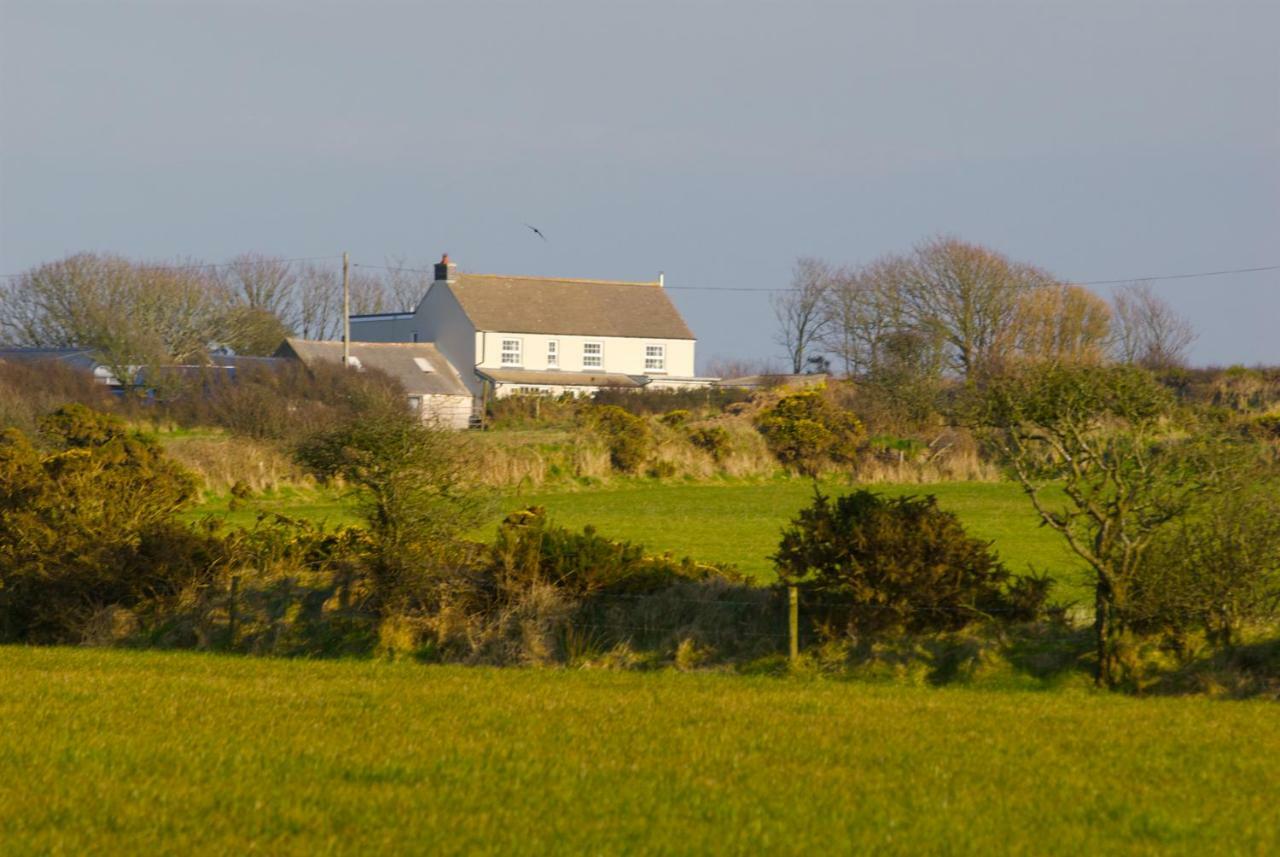 Llety Farm Bed & Breakfast St. Davids  Exterior photo